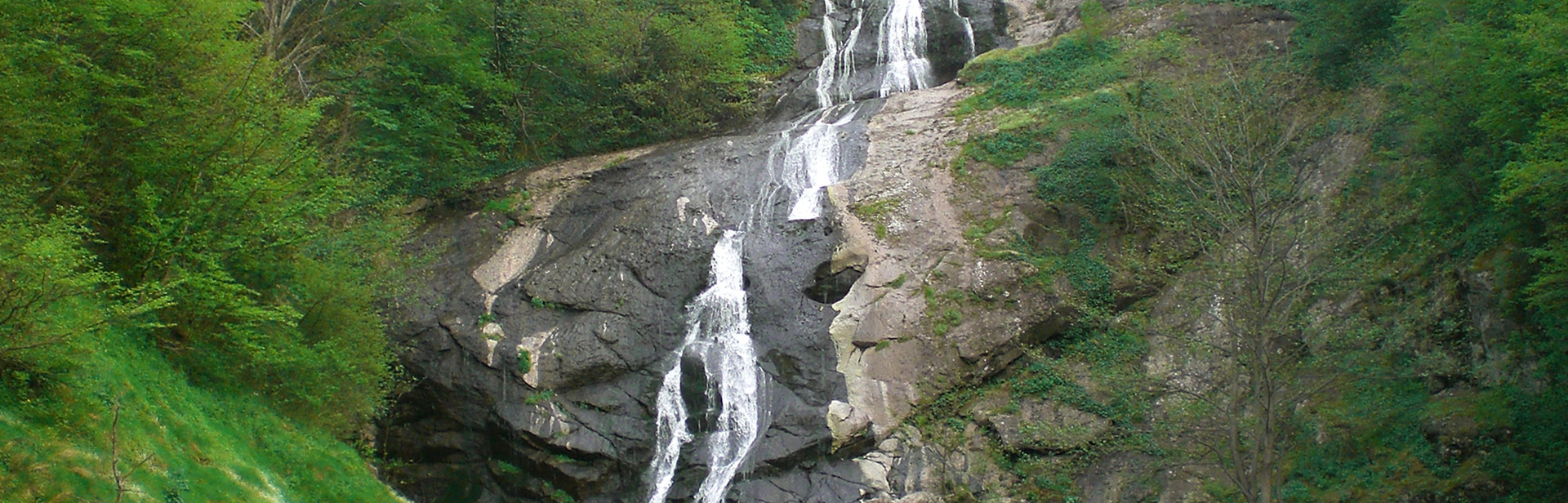 Salıpazarı Belediyesi