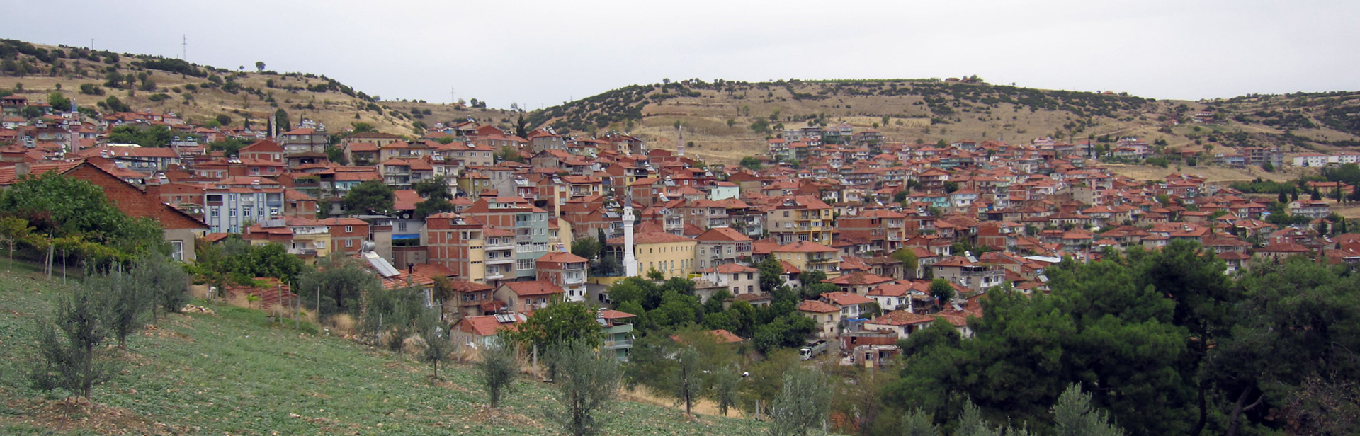 Güney Belediyesi