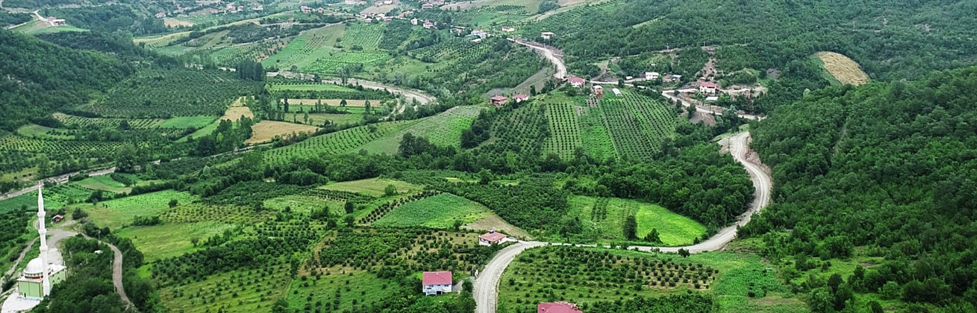 Tekkeköy Belediyesi