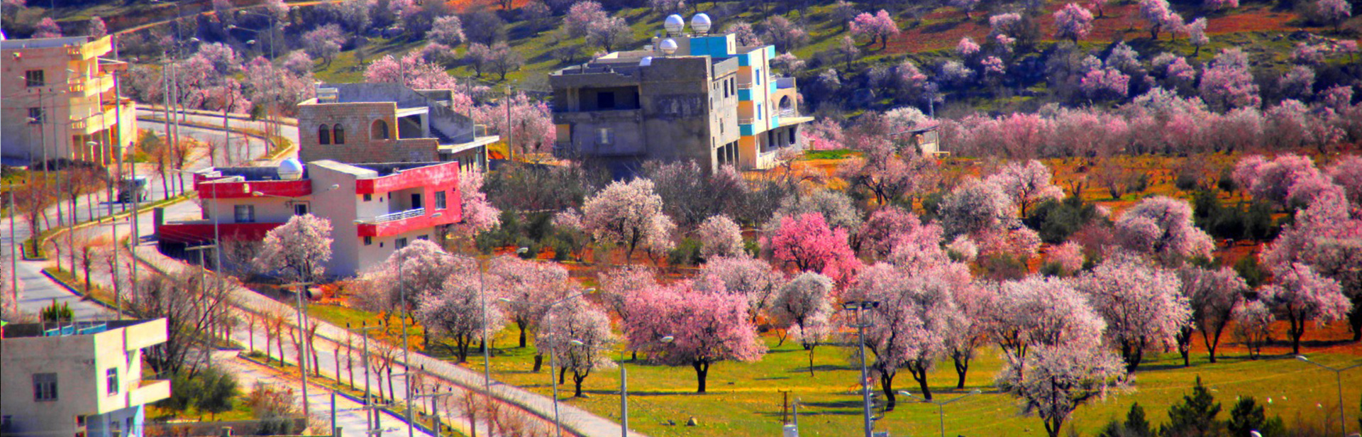 Yeşilli Belediyesi