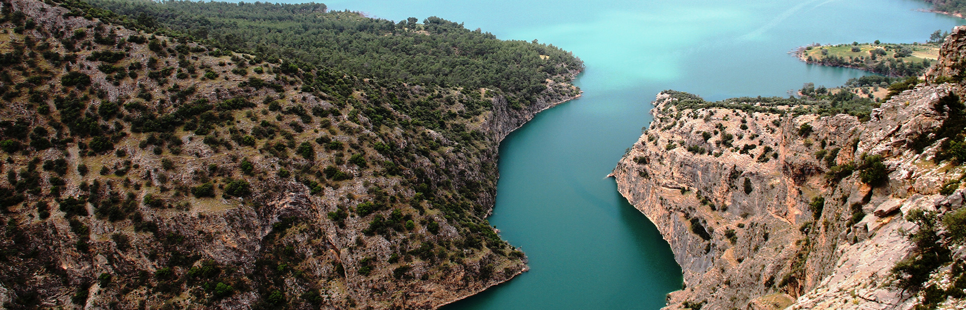 Kale Belediyesi